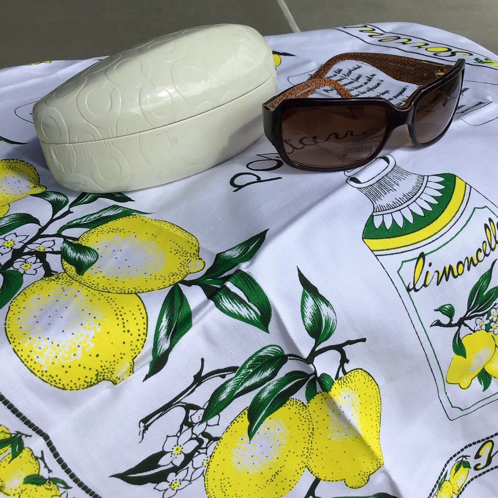 Coach Sunglasses and Case